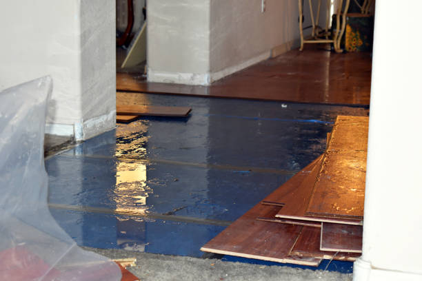 Professional Flood Cleanup technician working in Knoxville, IA